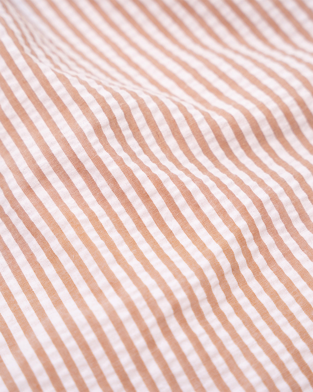 Czy Day-to-Night Shorts